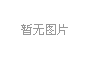 TPM-903B移動(dòng)式門式輻射探測(cè)儀